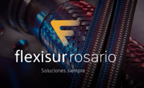 FLEXISUR